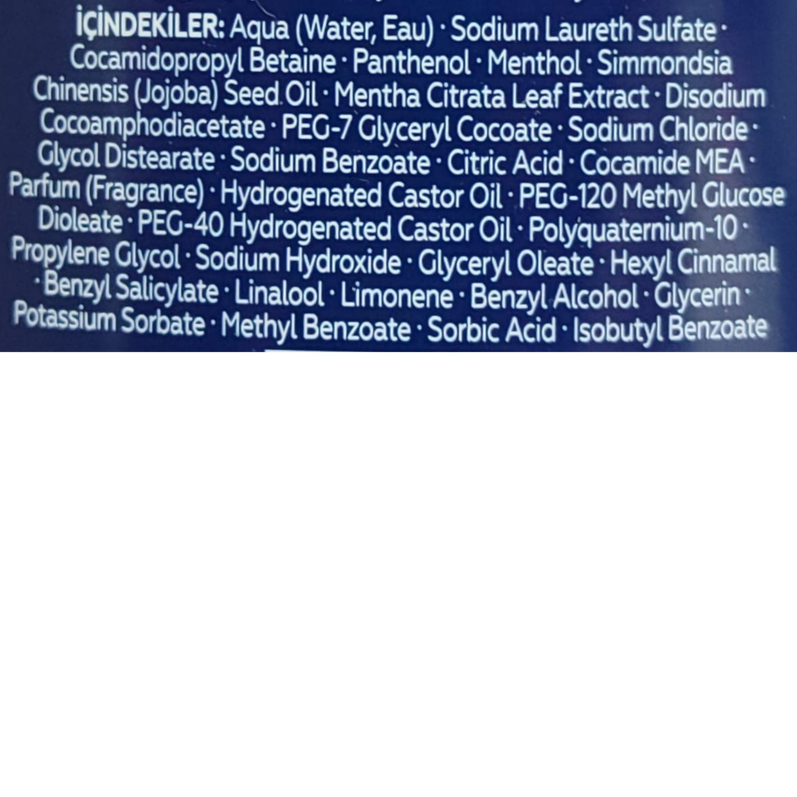 Blendax Men Mentol Ferahlığı Şampuan 500 ml