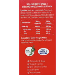 Wellcare DAY 90 Omega 3 Takviye Edici Gıda 90 Kapsül