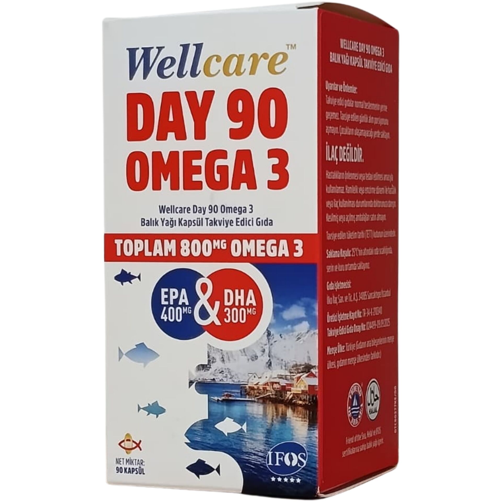 Wellcare DAY 90 Omega 3 Takviye Edici Gıda 90 Kapsül