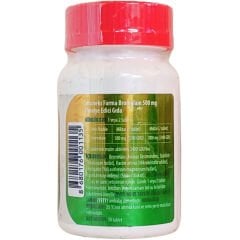 İmuneks Farma Bromelain 500 mg 30 Tablet