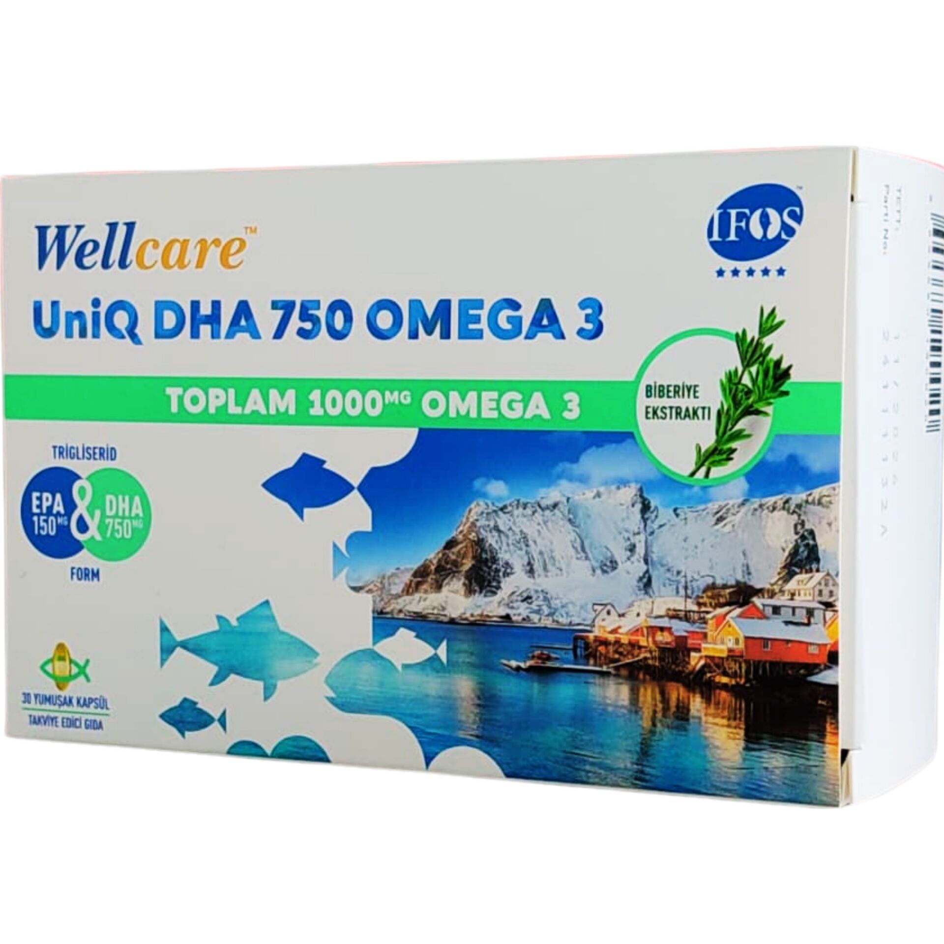 Wellcare Omega 3 Balık Yağı 750 mg 30 Kapsül