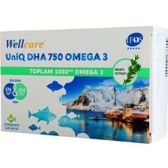 Wellcare Omega 3 Balık Yağı 750 mg 30 Kapsül