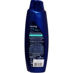 Blendax Men Mentol Ferahlığı Şampuan 500 ml