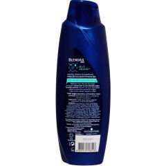 Blendax Men Mentol Ferahlığı Nane Özlü Şampuan 500 ml