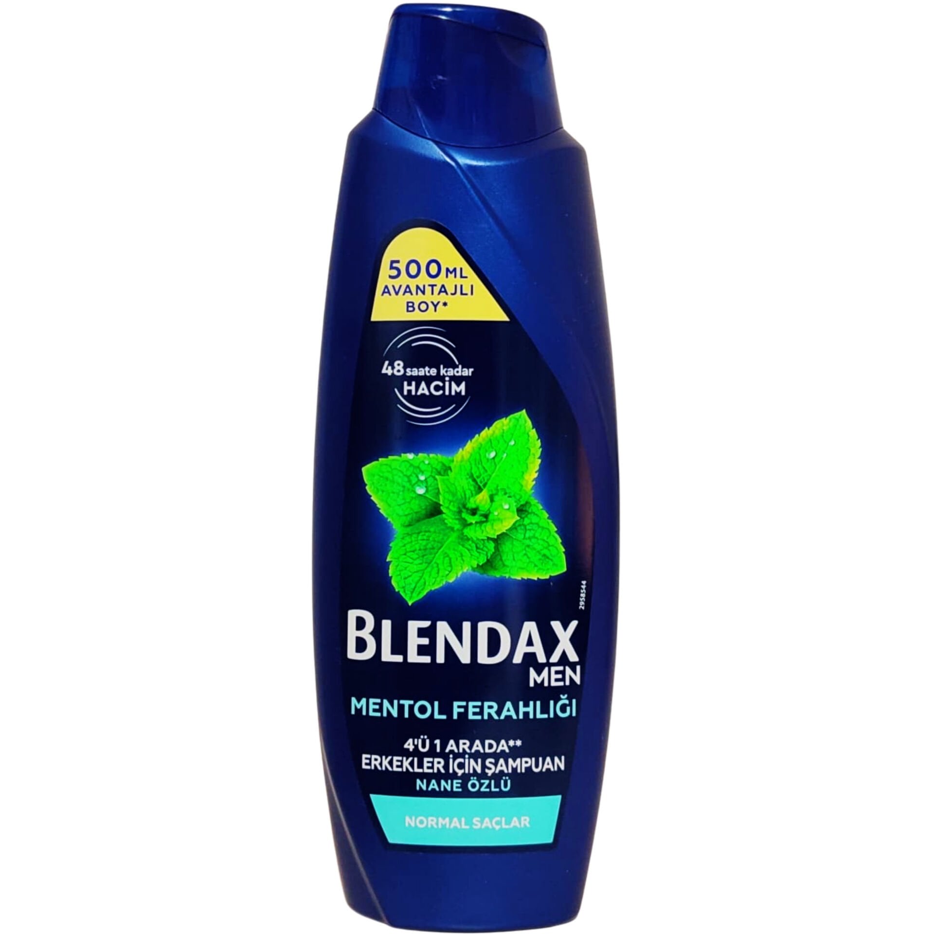Blendax Men Mentol Ferahlığı Nane Özlü Şampuan 500 ml