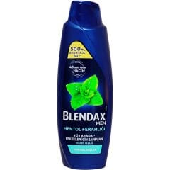 Blendax Men Mentol Ferahlığı Nane Özlü Şampuan 500 ml