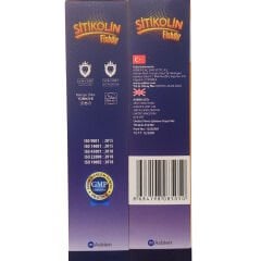 Focus Natura Plus Sitikolin+Balıkyağı Takviye Edici Gıda 200ml